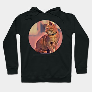 Cute floppy cat Hoodie